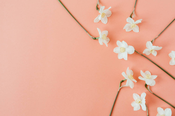 Narcissus flower on living coral background. Flat lay, top view minimal summer floral pattern composition. - Photo, Image