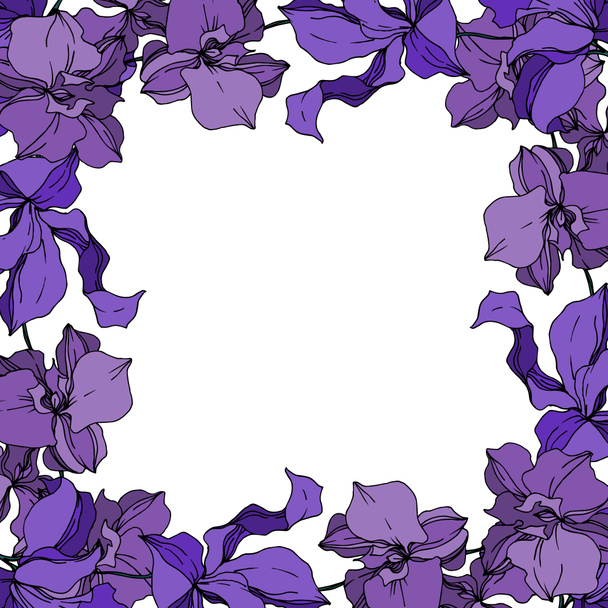 Vektorororchidee florale botanische Blumen. Schwarz-weiß gestochene Tuschekunst. Rahmen Rand Ornament Quadrat. - Vektor, Bild