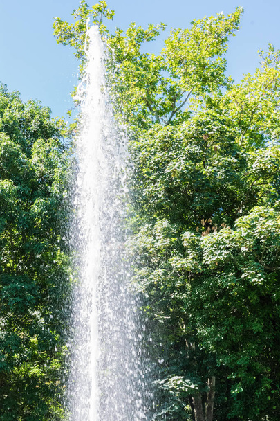 vertical jet of water in park lake - Fotoğraf, Görsel