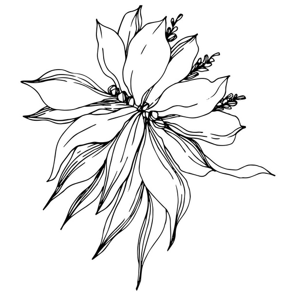 La palmera vectorial deja flores de la selva. Tinta grabada en blanco y negro. Elemento de ilustración de flores aisladas
. - Vector, Imagen
