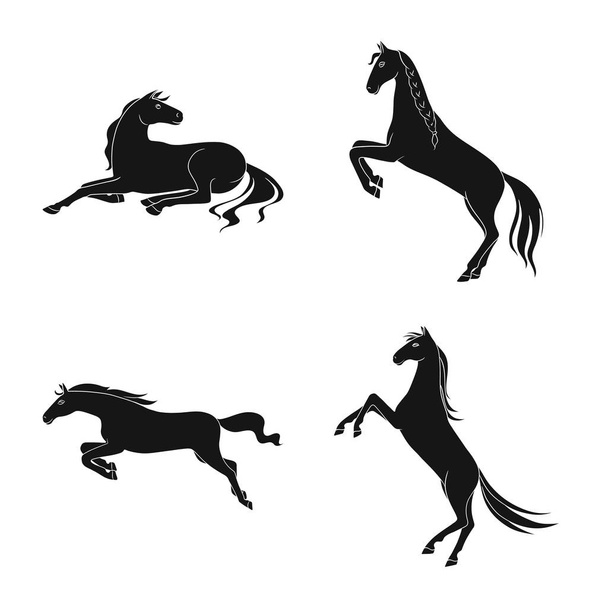 Vector design of fauna and mare icon. Set of fauna and stallion stock vector illustration. - Вектор,изображение
