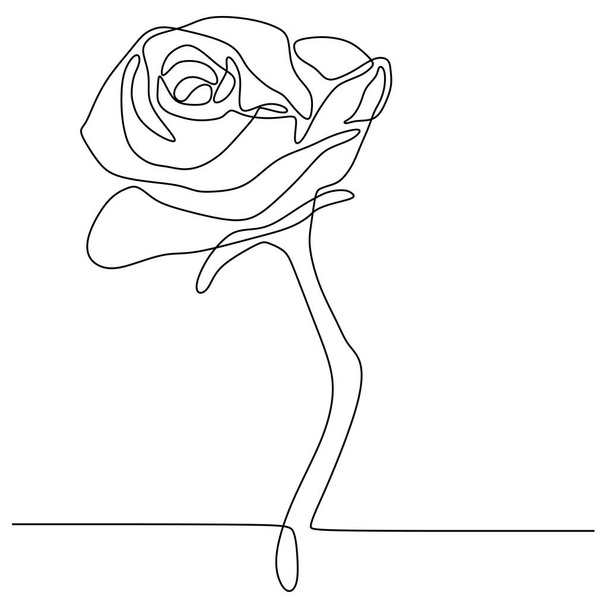 kontinuierliche Linienzeichnung der Rose Blume Minimalismus Design isoliert auf weißem Hintergrund - Vektor, Bild