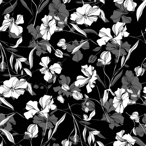Vektör Keten çiçek botanik çiçekler. Siyah ve beyaz oyulmuş mürekkep sanatı. Kesintisiz arka plan deseni. - Vektör, Görsel