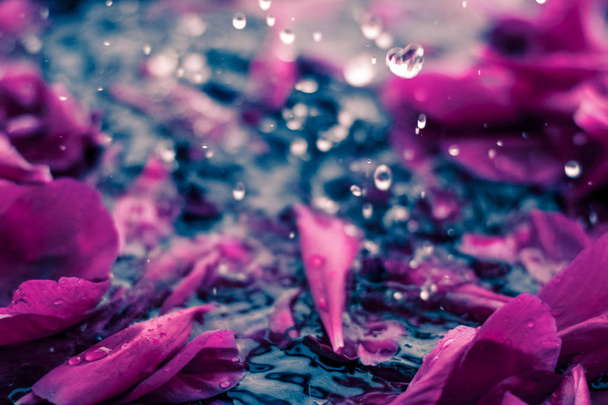 Абстрактний квітковий фон, фіолетові пелюстки у воді
 - Фото, зображення