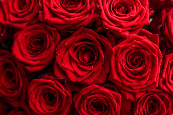 Роскошный букет из красных роз, цветущих цветов, как флора
 - Фото, изображение