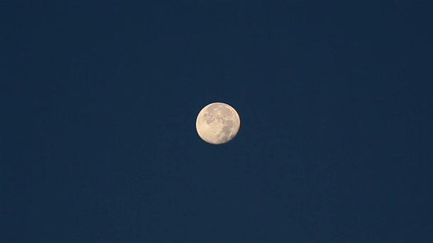 Księżyc w wczesnym rankiem. Widok timelapse - Materiał filmowy, wideo