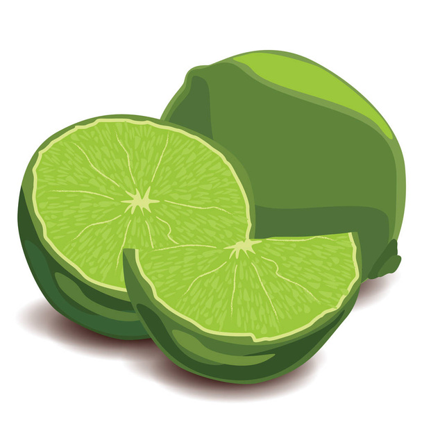 Fresh limes and lime slices on white background. - Vector, Image