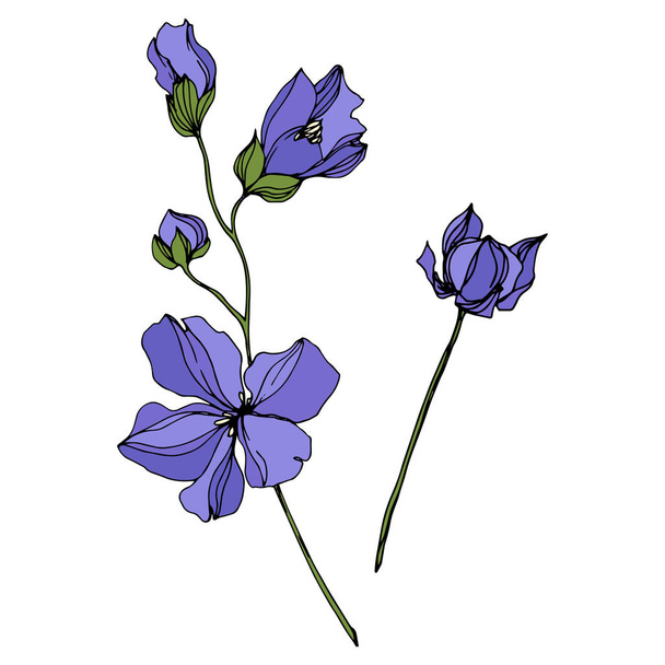 Vector Flax floral botanical flowers. Black and white engraved ink art. Isolated flax illustration element. - Vektori, kuva
