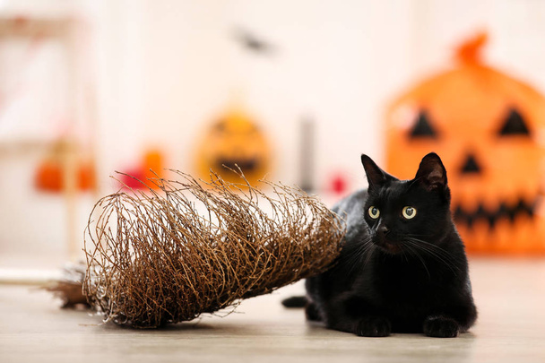 Black cat with broom lying at home - Fotó, kép