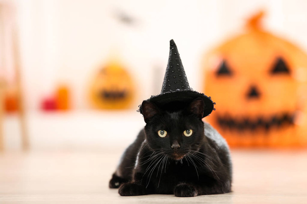 Black cat in halloween hat lying on the floor - Fotó, kép