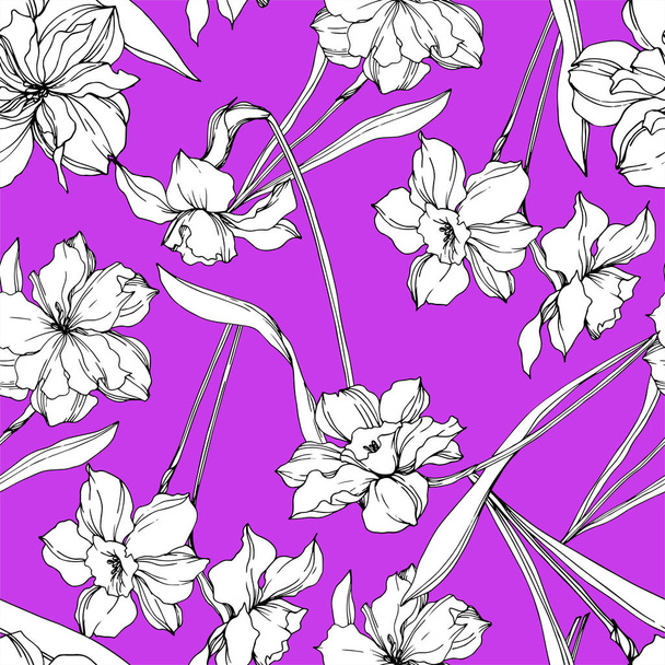 Vector Narcissus floral botanical flowers. Black and white engraved ink art. Seamless background pattern. - Vector, Imagen