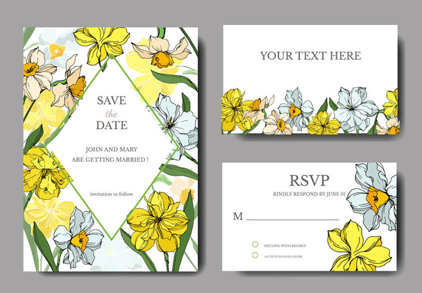 Vektor Narcissus virágos botanikai virágok. Fekete-fehér vésett tinta Art. Esküvői háttér-kártya dekoratív határon. - Vektor, kép