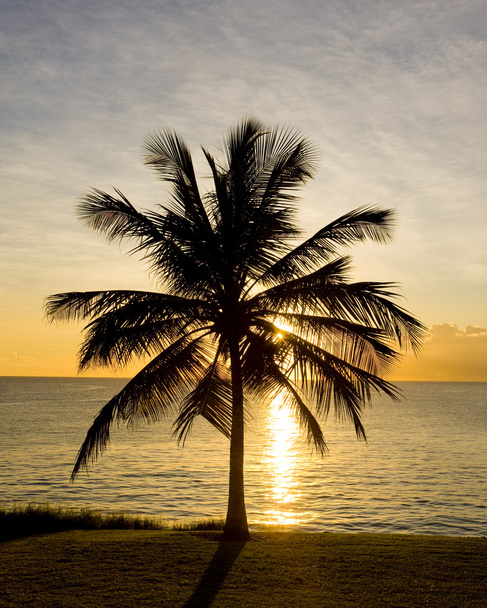 Barbados - Fotoğraf, Görsel