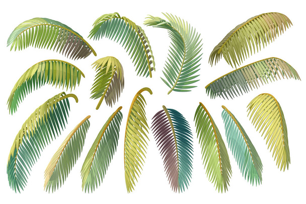 vector hand drawn plant clipart - Vector, Image