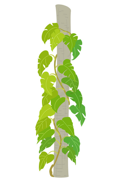 vector hand drawn plant clipart - ベクター画像