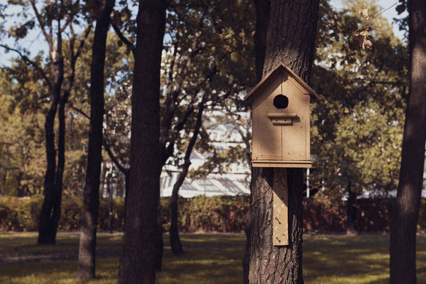Rozkošný prázdný dřevěný ptačí dům v parku. Ručně vyrobený dům pro ptáky mezi stromy. Domov vrabce. - Fotografie, Obrázek
