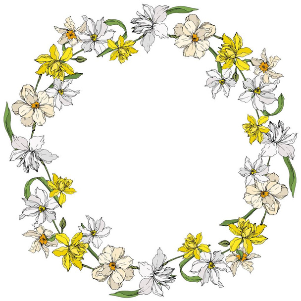 Vector Narcissus floral botanical flowers. Black and white engraved ink art. Frame border ornament square. - ベクター画像