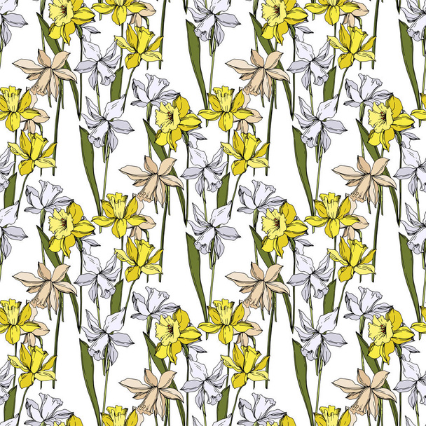Vector Narcissus floral botanical flowers. Black and white engraved ink art. Seamless background pattern. - Вектор,изображение