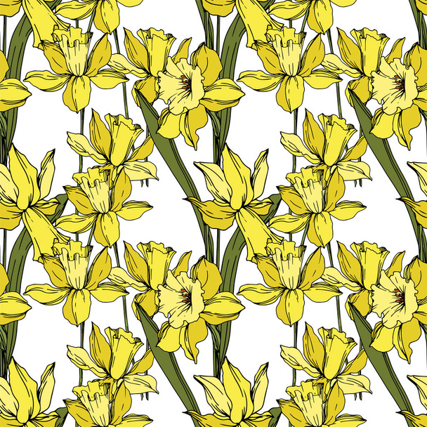 Vector Narcissus floral botanical flowers. Black and white engraved ink art. Seamless background pattern. - Vektor, Bild