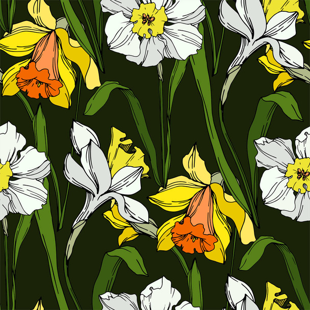 Vector Narcissus floral botanical flower. Black and white engraved ink art. Seamless background pattern. - Vektor, obrázek