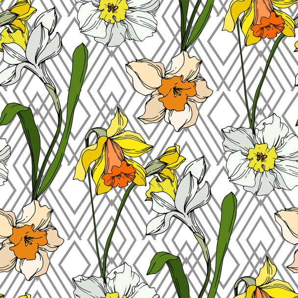 Vector Narcissus floral botanical flower. Black and white engraved ink art. Seamless background pattern. - Vetor, Imagem