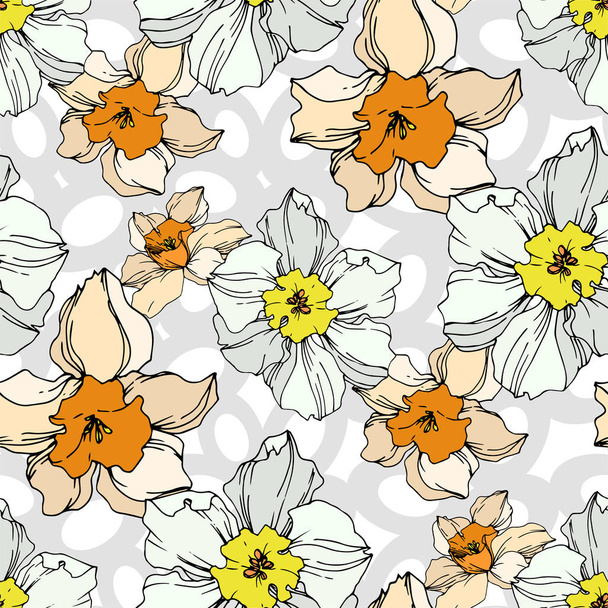 Vektor Narcissus virágos botanikus virág. Fekete-fehér vésett tinta Art. Folytonos háttérmintázat. - Vektor, kép