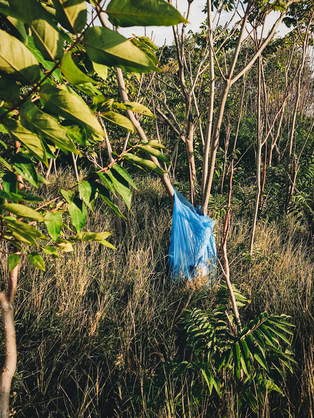 Μεγάλη πλαστική σακούλα με σκουπίδια σε δέντρο σε πάρκο ή δάσος. Πλαστικό Po - Φωτογραφία, εικόνα