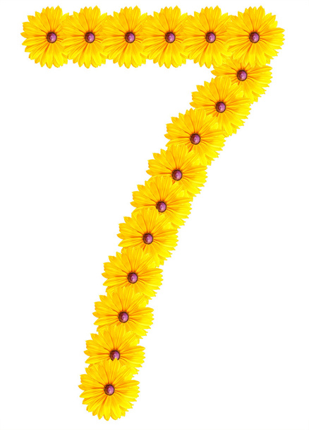 Numbers of flowers on a white background - Photo, Image