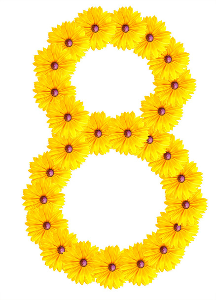 Numbers of flowers on a white background - Foto, afbeelding