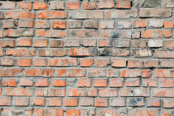 Brick wall texture on whole background, empty space - Photo, Image
