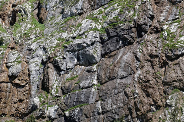 Lits de calcaire triasique dans la région de Steinerne Platte en Autriche
 - Photo, image