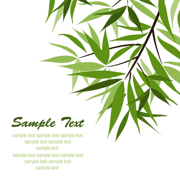 Bamboo background and sun, vector - Vettoriali, immagini