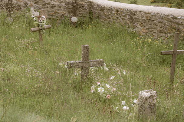 Fakir bir köy mezarlığının çimleri arasında haçlar - Fotoğraf, Görsel