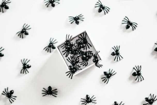 Spiders climb out of the gift box. - Photo, Image