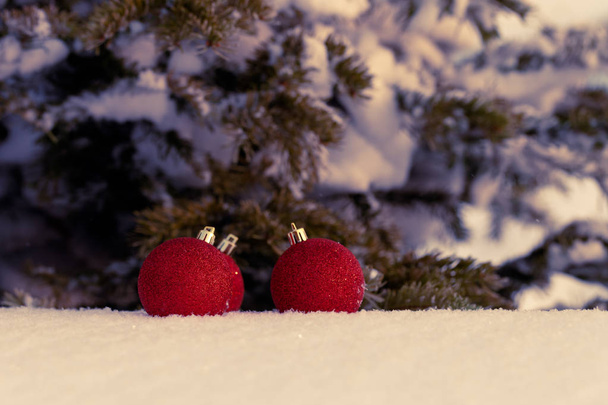ветви рождественской елки и яркие шары на чистом снегу для
 - Фото, изображение
