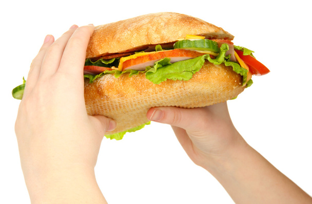 Fresh and tasty sandwich with ham and vegetables in hands isolated on white - 写真・画像