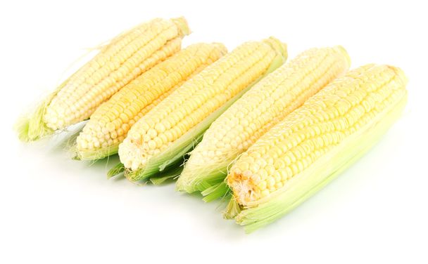 Légumes de maïs frais isolés sur blanc - Photo, image