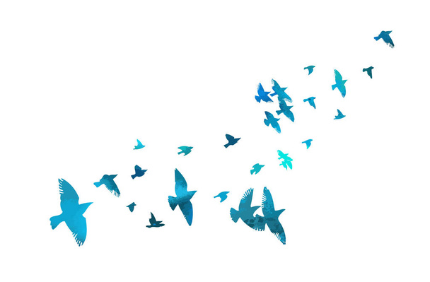 A flock of flying blue birds. Vector illustration - Vector, Image