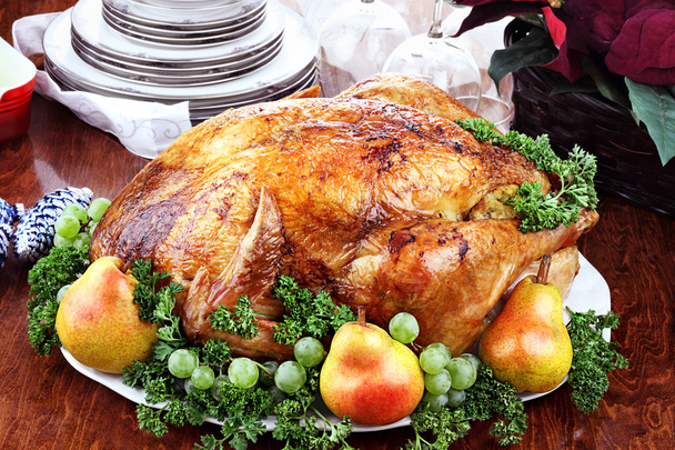 Delicious Turkey Dinner - Zdjęcie, obraz