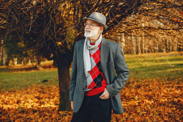Elegant old man in a sunny autumn park - Fotografie, Obrázek