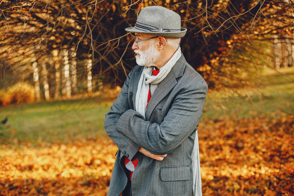 Elegant old man in a sunny autumn park - Fotó, kép