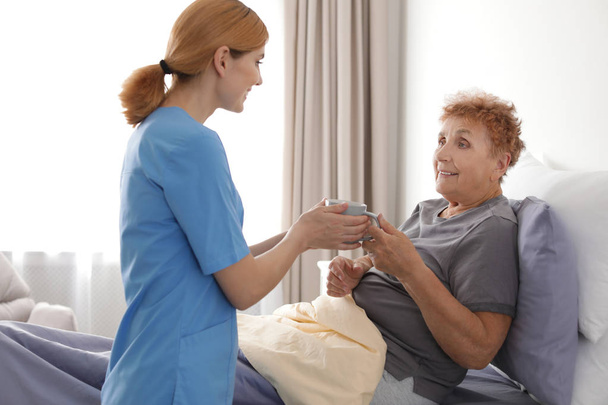 Nurse giving cup of tea to elderly woman indoors. Medical assistance - Foto, imagen