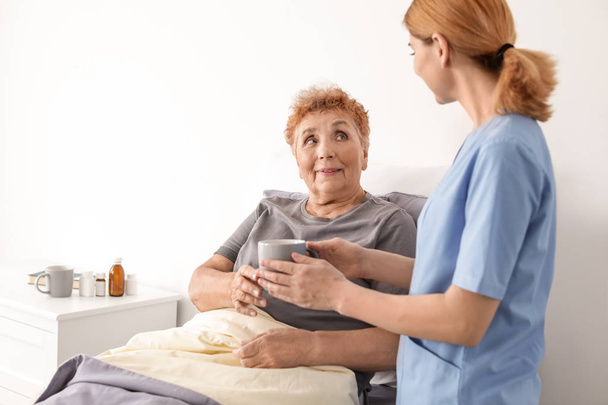 Enfermeira dando xícara de chá para a mulher idosa dentro de casa. Assistência médica
 - Foto, Imagem