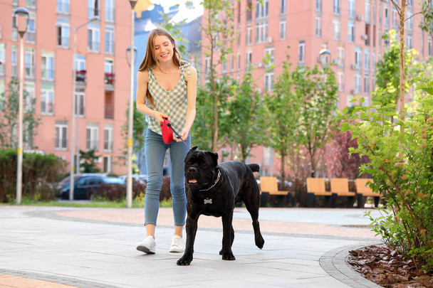 Young woman walking American Staffordshire Terrier dog outdoors - Φωτογραφία, εικόνα
