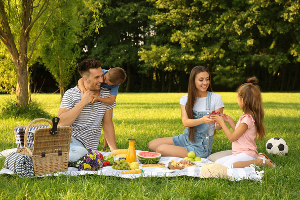 Happy family having picnic in park on sunny summer day - Foto, afbeelding