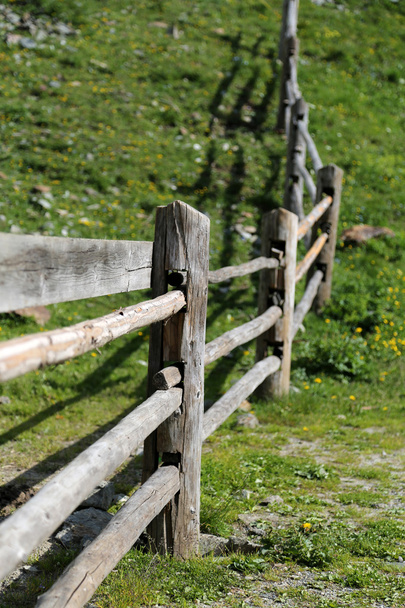 Wooden fence - Photo, Image