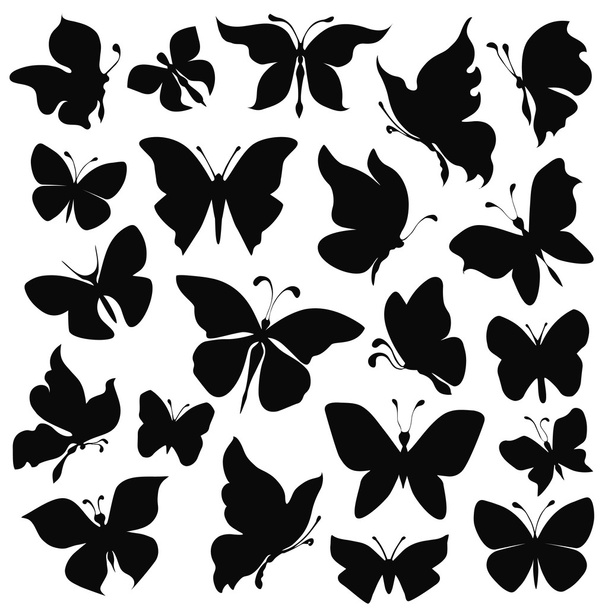 butterfly - Vector, Image