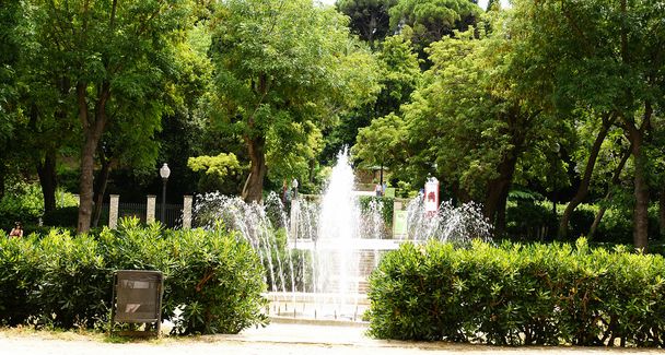 円形の噴水やモンジュイックの山庭園 - 写真・画像