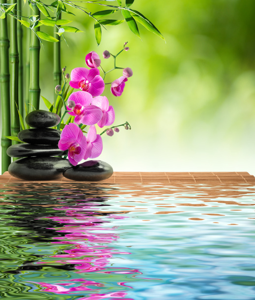 roze orchid zwarte steen en bamboe op water - Foto, afbeelding
