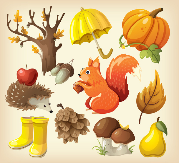 Set of elements and items that represent autumn - Vector, Image